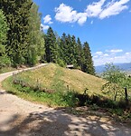 Wandelpad