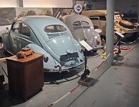 In het kever museum