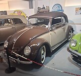 In het kever museum