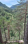 Worschachklamm