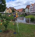 Berching