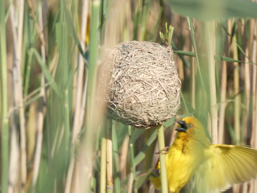 P1020472 Foto Willy en Wilma van den Berg’s reisblog