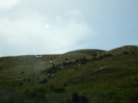 P1050354
