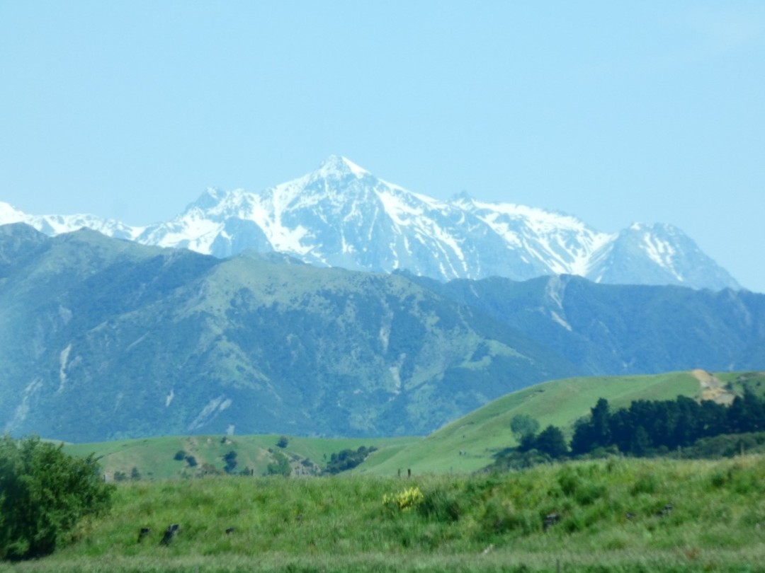 Van De Wijnvelden Naar De Walvissen Blenheim Naar Kaikoura van-de-wijnvelden-naar-de-walvissen-blenheim-naar-kaikoura