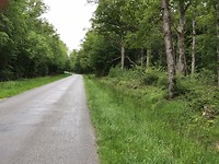 Het landschap wordt bosrijker
