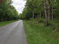 IMG_1721