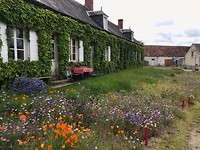 Bloemetjes voor de deur