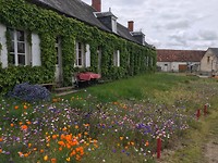 IMG_1723