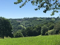 Bossen overheersen