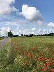En ook de wolken