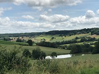 Landschap wordt weer weidser