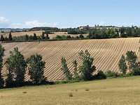 Landbouw