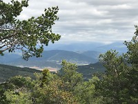 IMG_2060