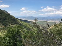 IMG_2066