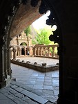 IMG_2080