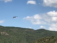 IMG_2093