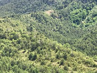 IMG_2095