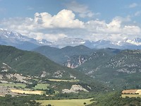 IMG_2103