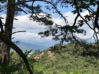 IMG_2084