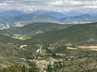 IMG_2089