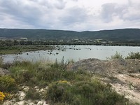 IMG_2127