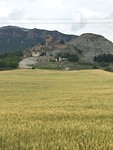 IMG_2128