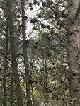 IMG_2131