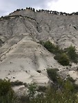 IMG_2134
