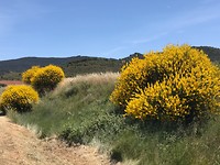 Natuurpracht onderweg
