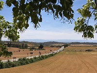 De weg naar Los Arcos