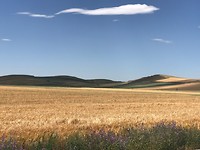 Desolaat en landbouw beheerst het landschap