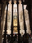 IMG_2282