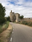 IMG_2320
