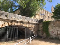 IMG_2346
