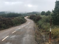 IMG_2494