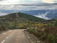 IMG_2505