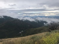 IMG_2511
