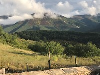 IMG_2528