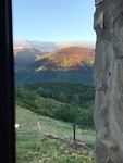 IMG_2531