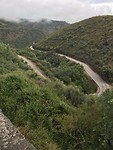IMG_2535