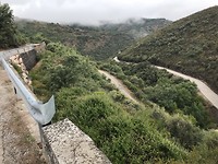 IMG_2536