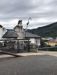 IMG_2548