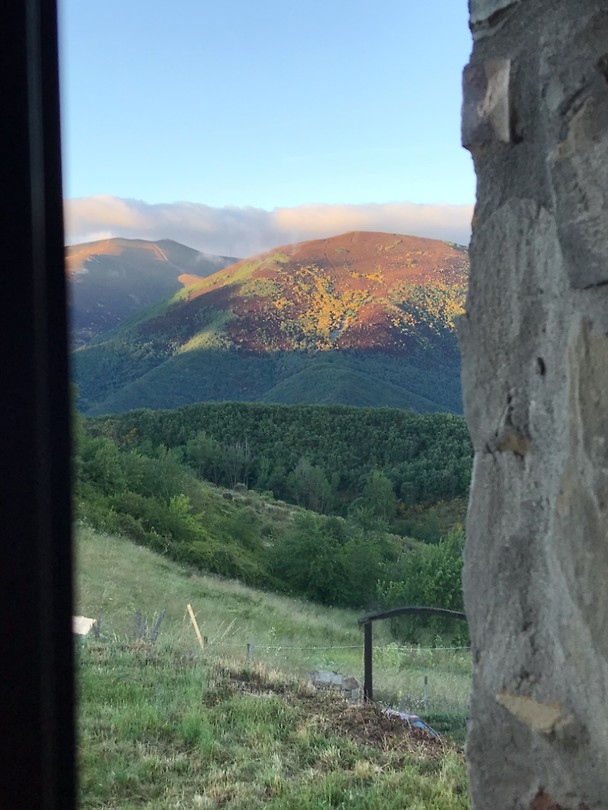 Room with a view