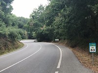 Bomen langs de weg
