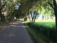 Lommer en zon