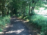 Wandelaarspad