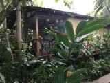 saigonchito #3