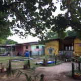 Bocas brewery