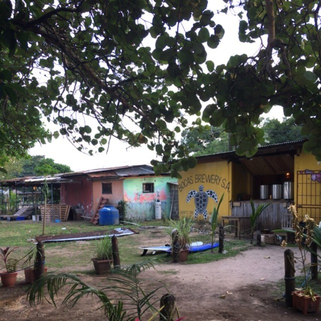Bocas brewery