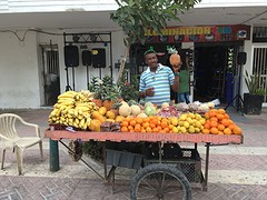 Fruit